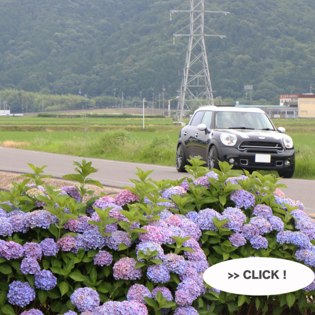 夏本番前に！車のエアコンクリーニングキャンペーン実施中！！
